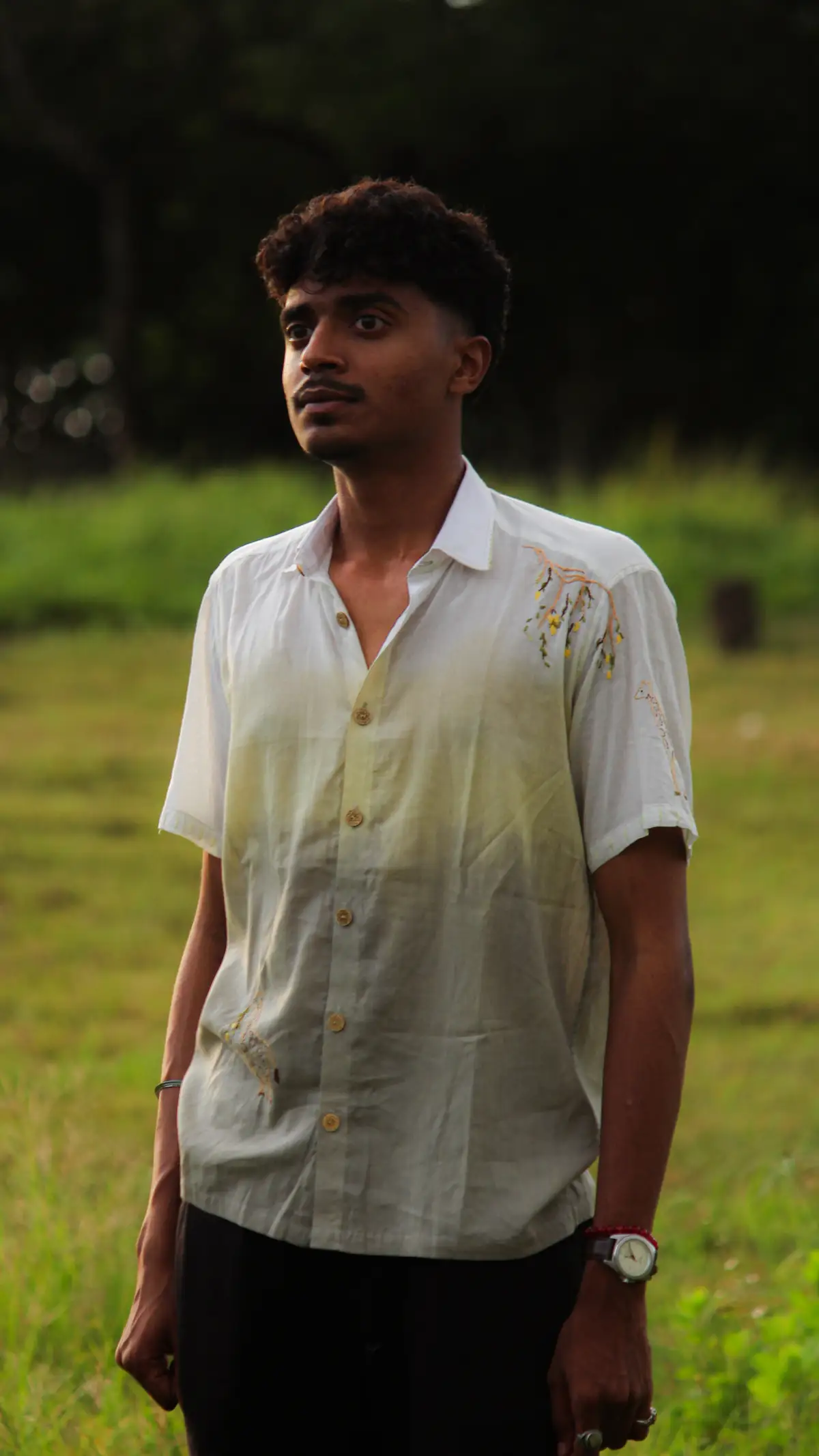 The Mango Mania - Image 2