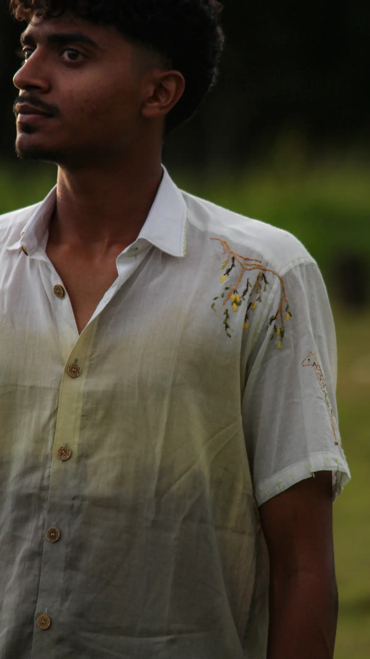 The Mango Mania - Image 4