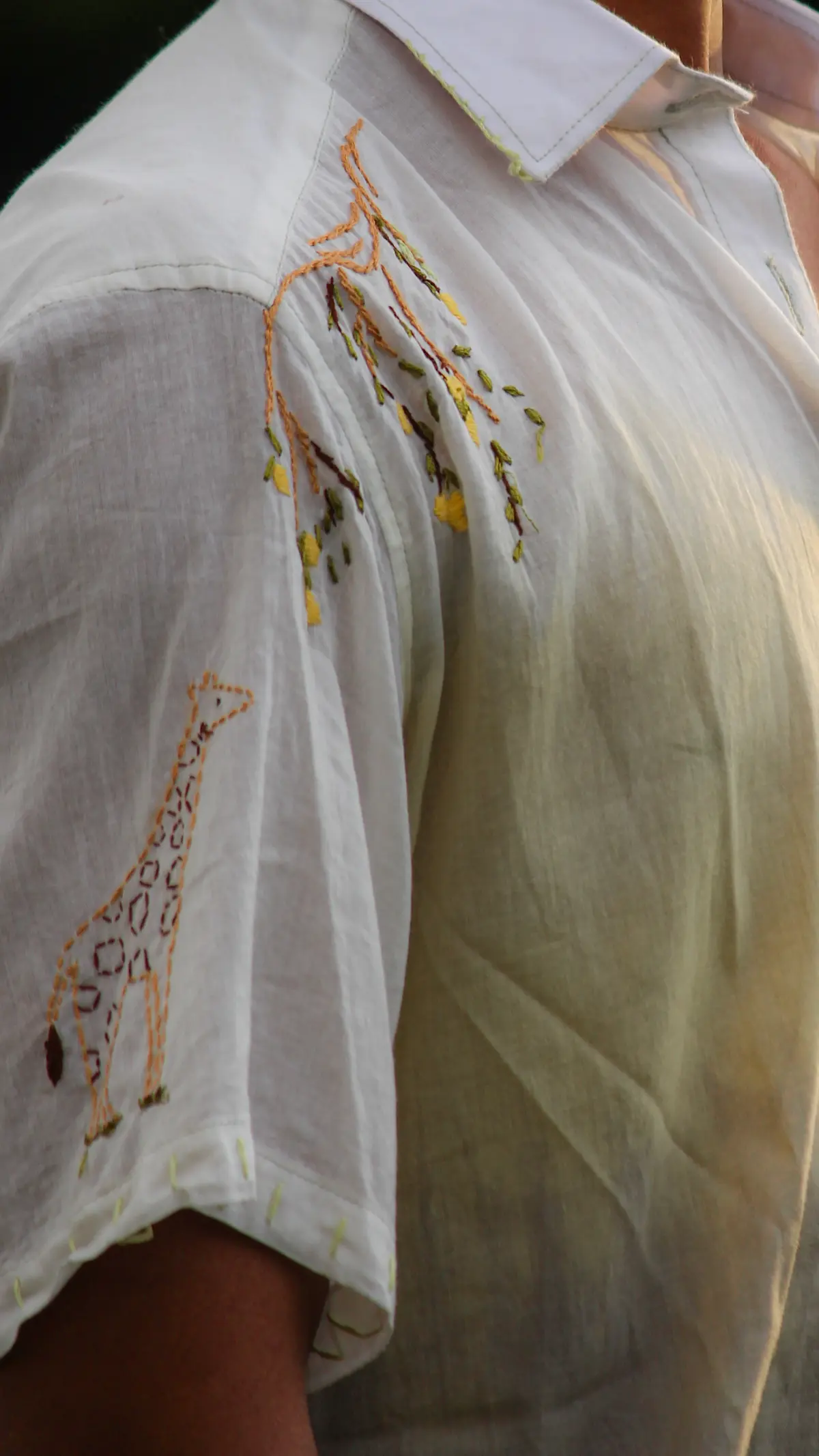 The Mango Mania - Image 3